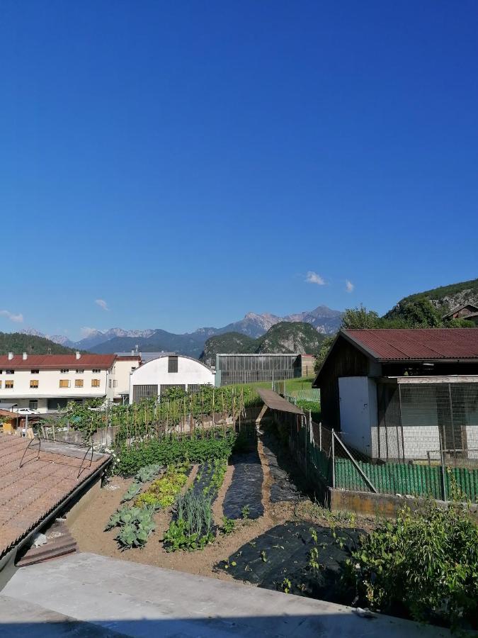 Hotel Al Fogolar Villa Santina Exterior foto
